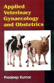 veterinary gynaecology